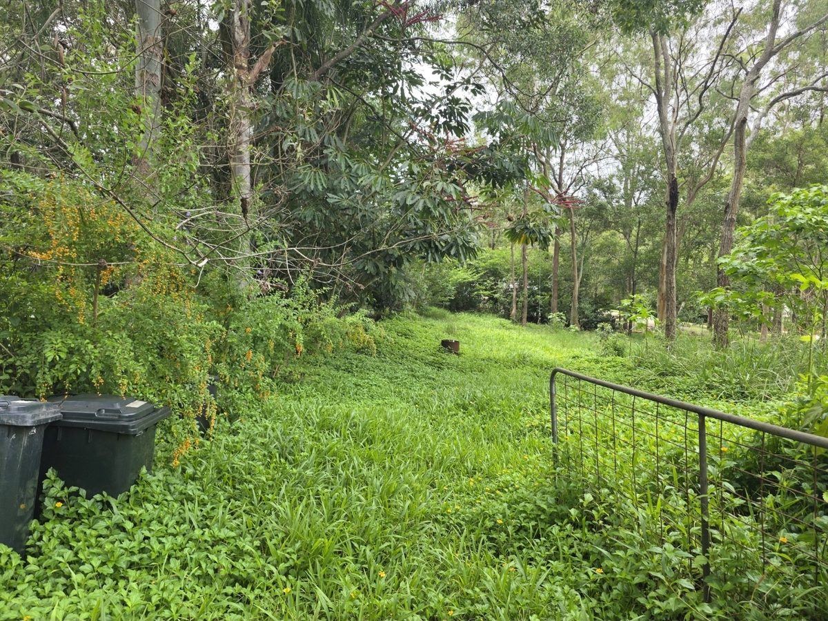 Overgrown with bins